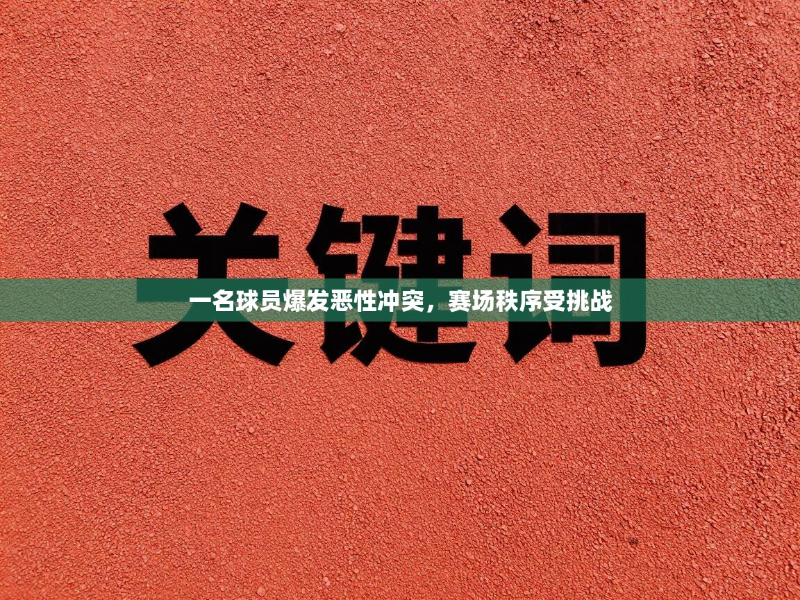 一名球员爆发恶性冲突，赛场秩序受挑战  第1张